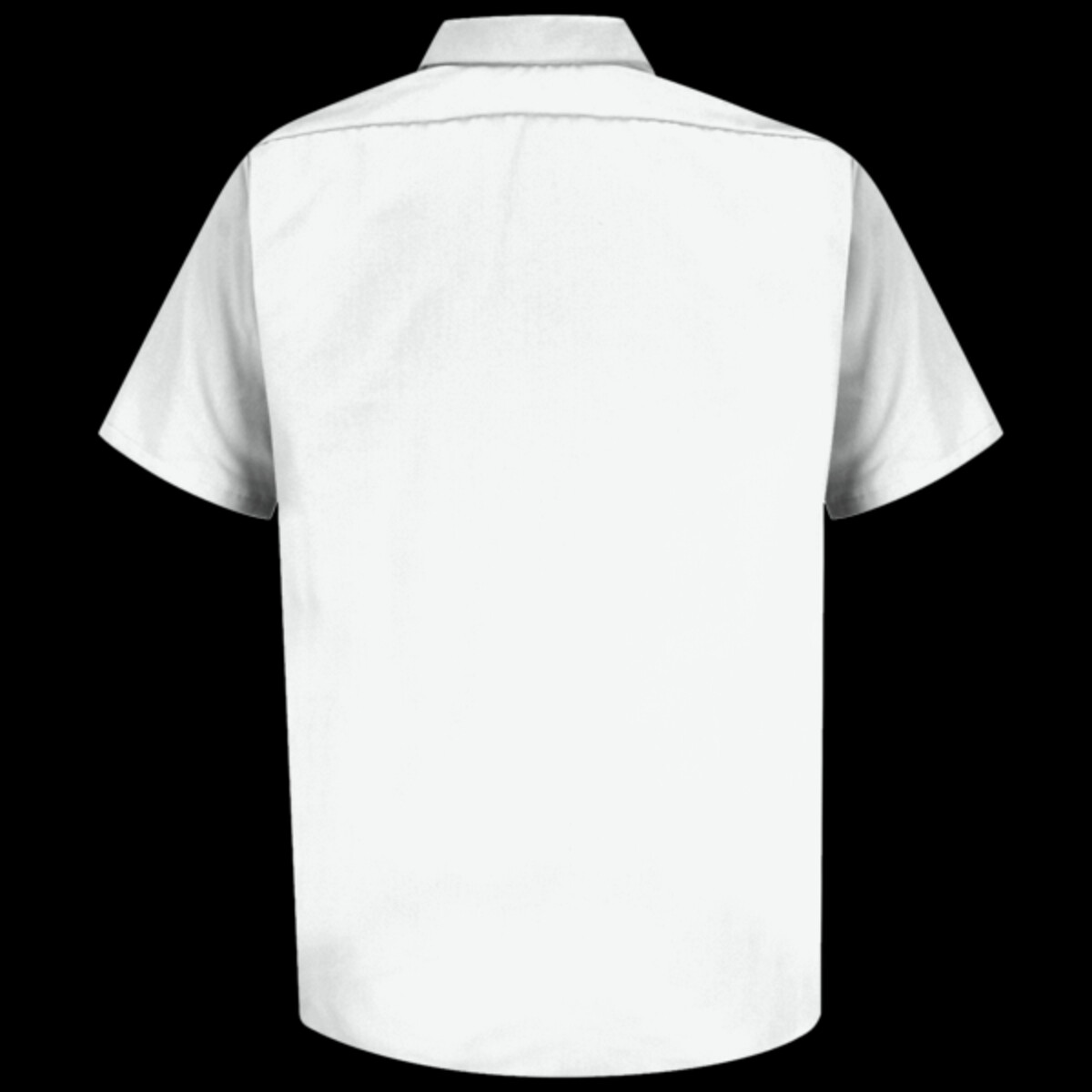 Back