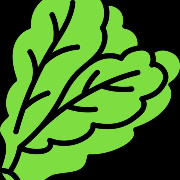 Lettuce Thumbnail