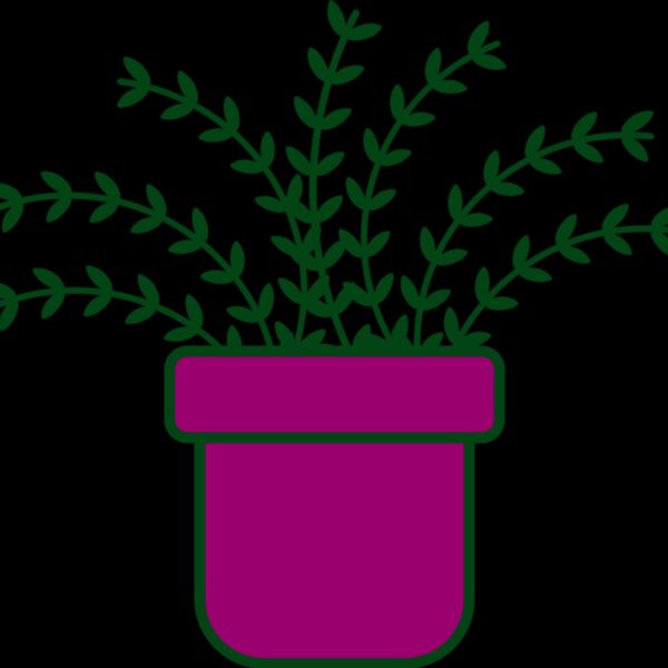 Plant 3 Thumbnail