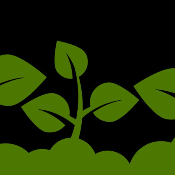 Plant Leaves Thumbnail