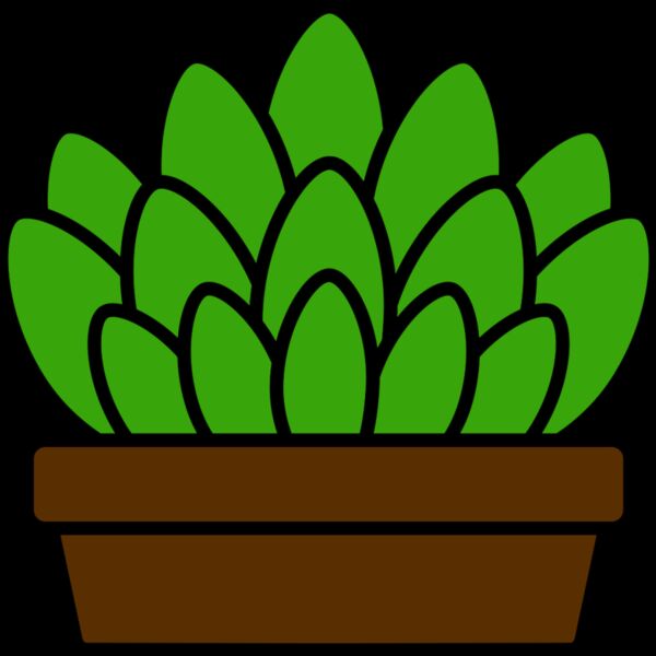 Succulent Plant Thumbnail