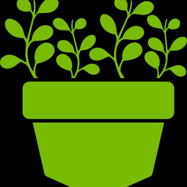 Succulent Plant 3 Thumbnail