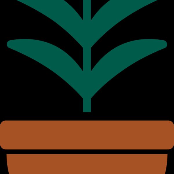 Plant 2 Thumbnail