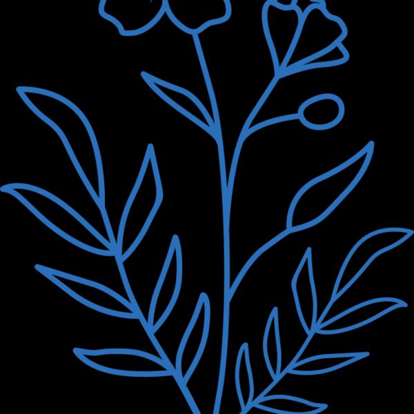 Flowers 10 Thumbnail