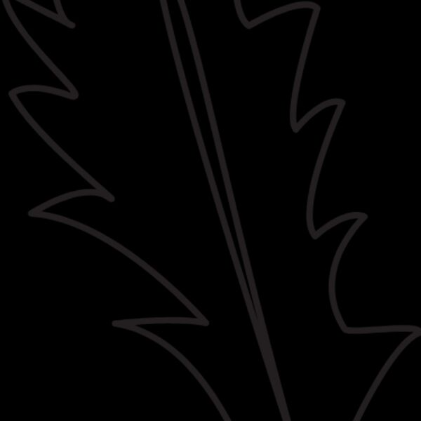 Small Leaf 3 Thumbnail