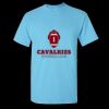 Heavy Cotton™ T-Shirt Thumbnail