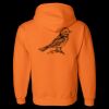 Unisex DryBlend® Hooded Sweatshirt Thumbnail