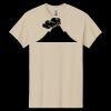 Heavy Cotton ™ 100% Cotton T Shirt Thumbnail